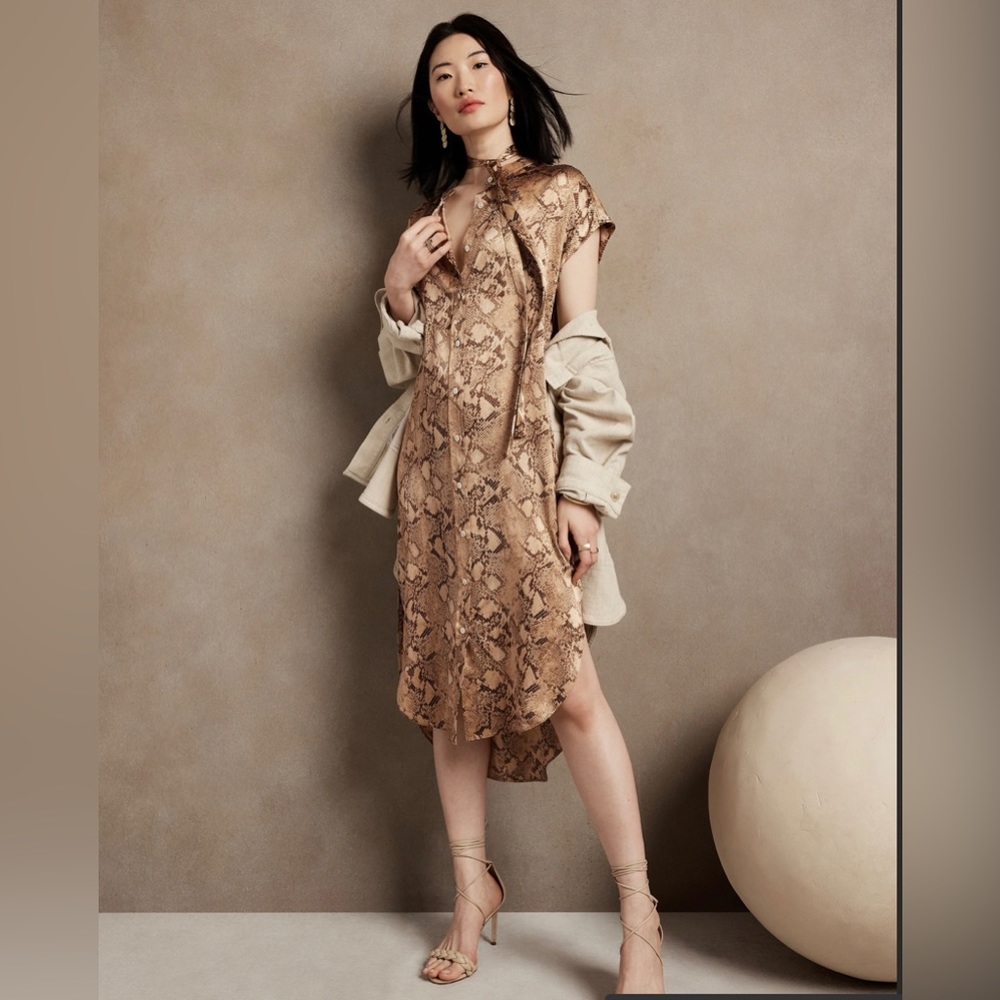 Banana Republic Serenade Silk Shirtdress, NWT